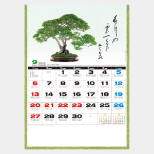 NK-91 一木一草 1