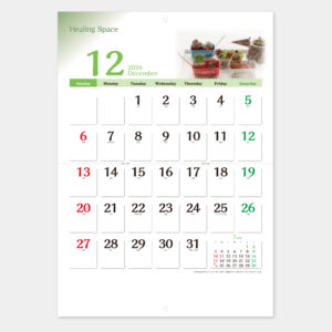 PR-620　ヒーリングスペース 1