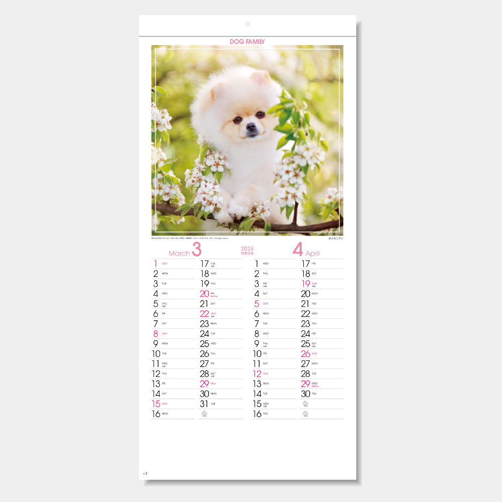 SG-142　ドッグファミリー 1