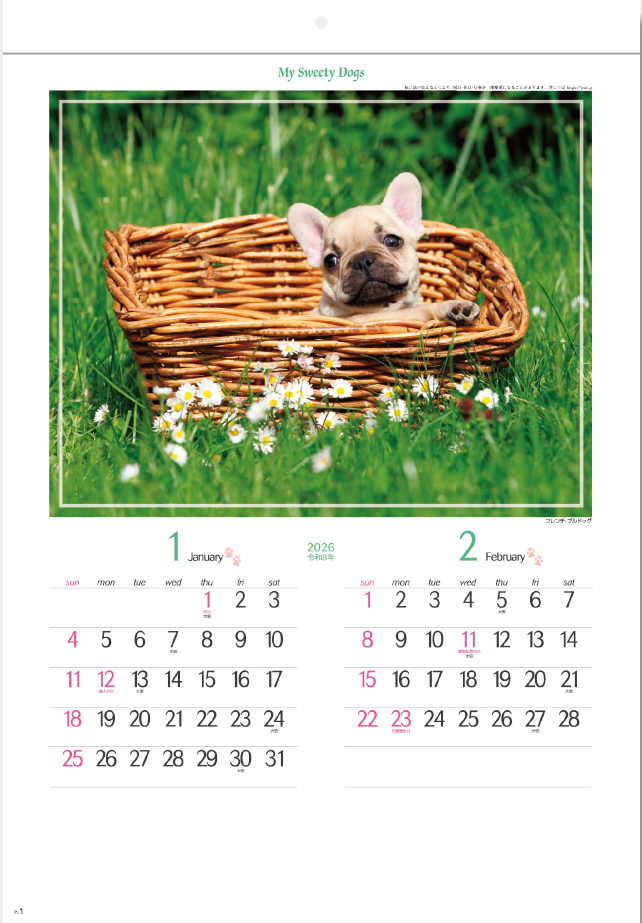 SG-162 マイスウィーティードッグ