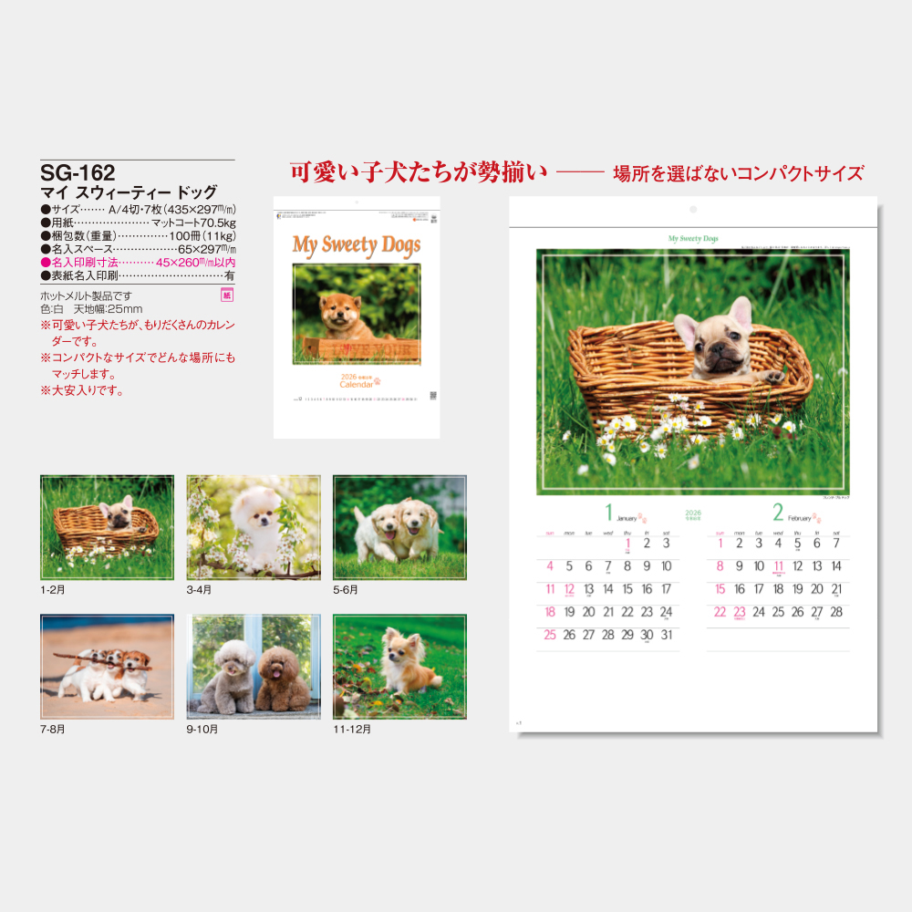 SG-162　マイスウィーティードッグ 3