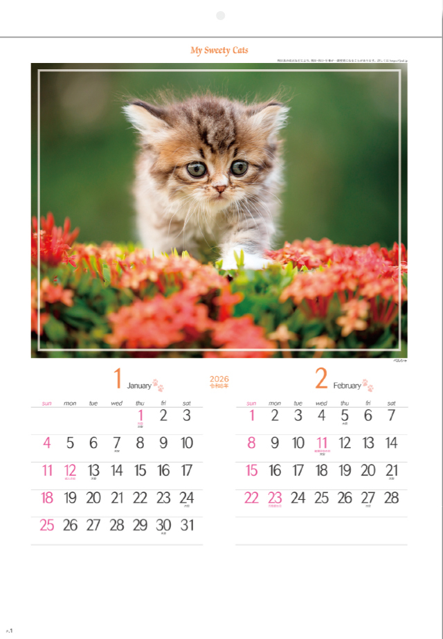 SG-163 マイスウィーティーキャット