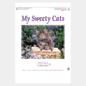 SG-163　マイスウィーティーキャット 2