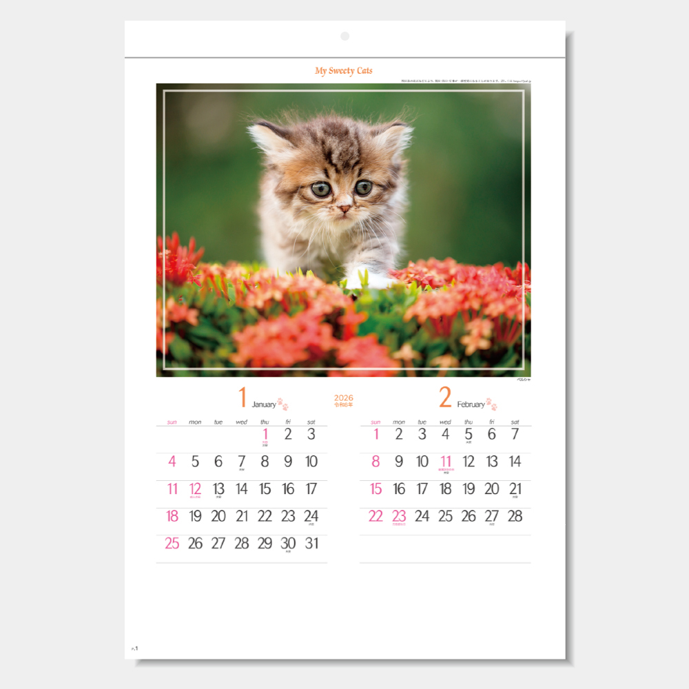 SG-163　マイスウィーティーキャット 1