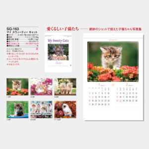 SG-163　マイスウィーティーキャット 3