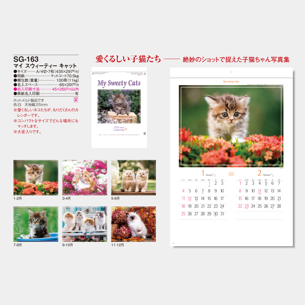 SG-163　マイスウィーティーキャット 3