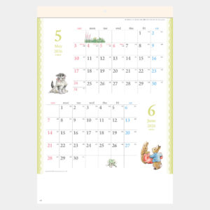 SG-1630　ピーターラビット 1