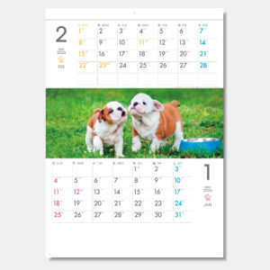 SG-197　THE DOGS ミシン目入 1