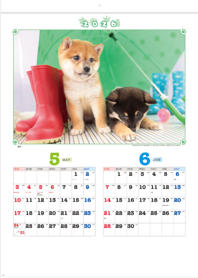 SG-216 ハッピー・フレンズ