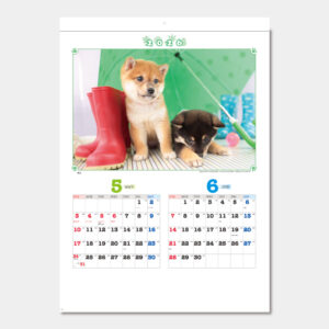 SG-216　ハッピー・フレンズ 1