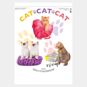 SG-2280　CAT・CAT・CAT 2