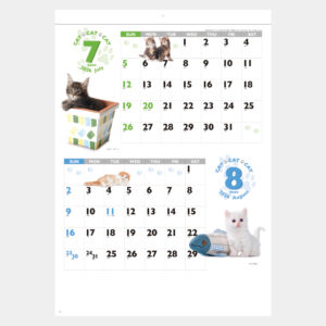 SG-2280　CAT・CAT・CAT 1