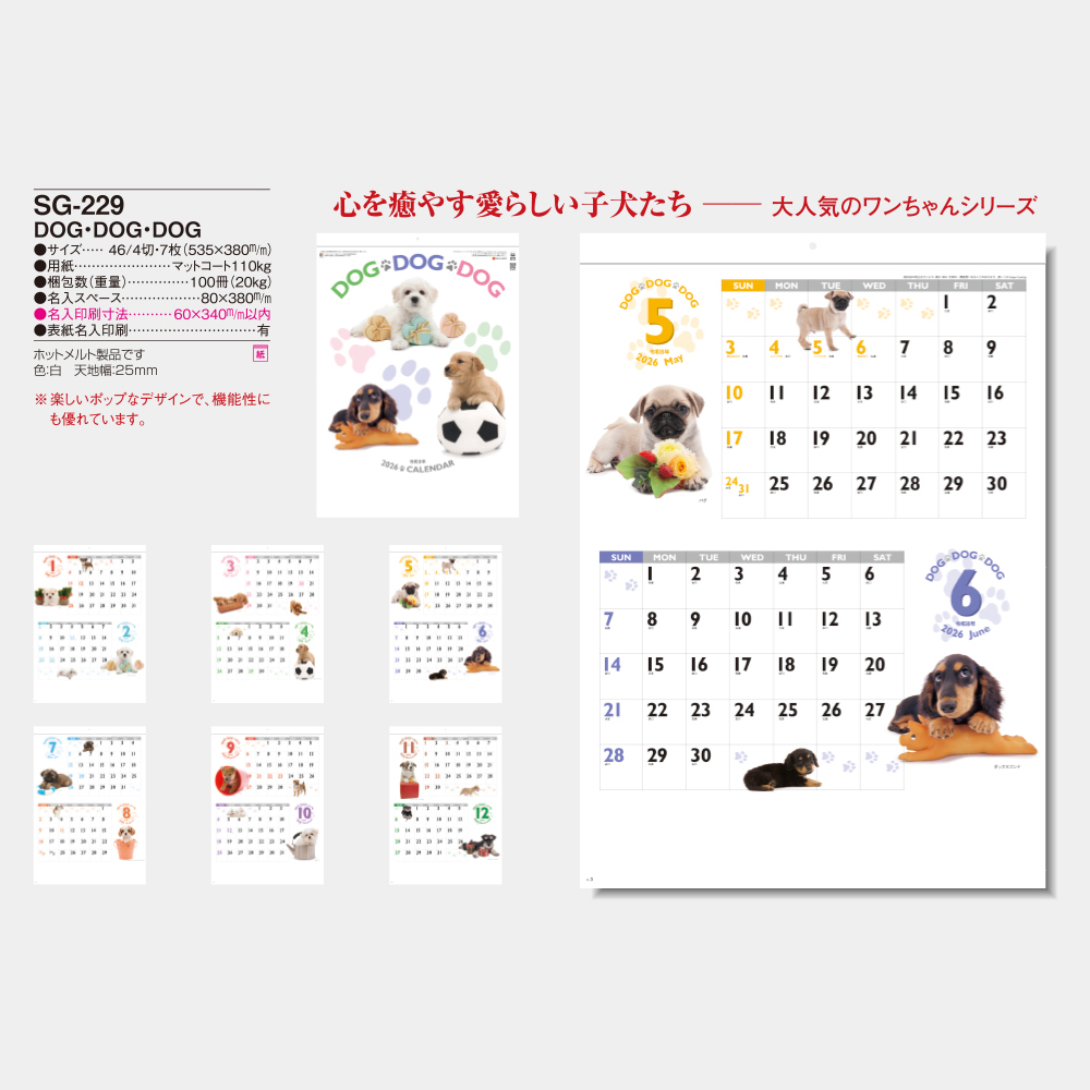 SG-229 DOG・DOG・DOG 3