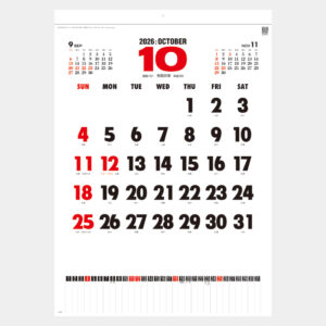 SG-254 コットン文字 1