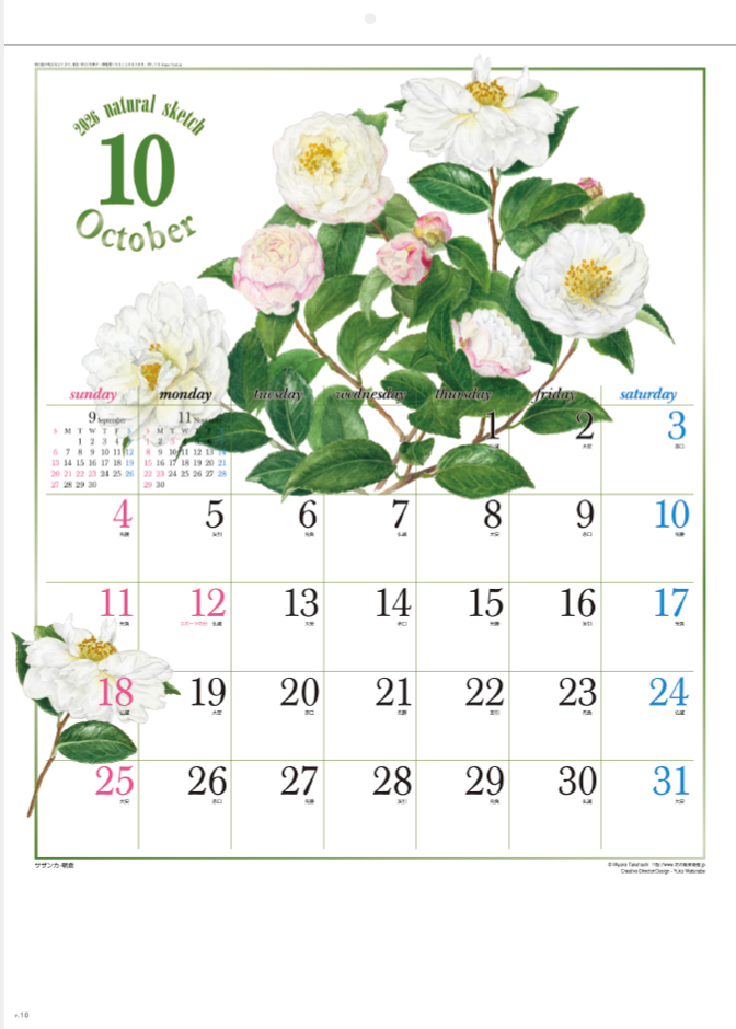 SG-277 ナチュラルスケッチ