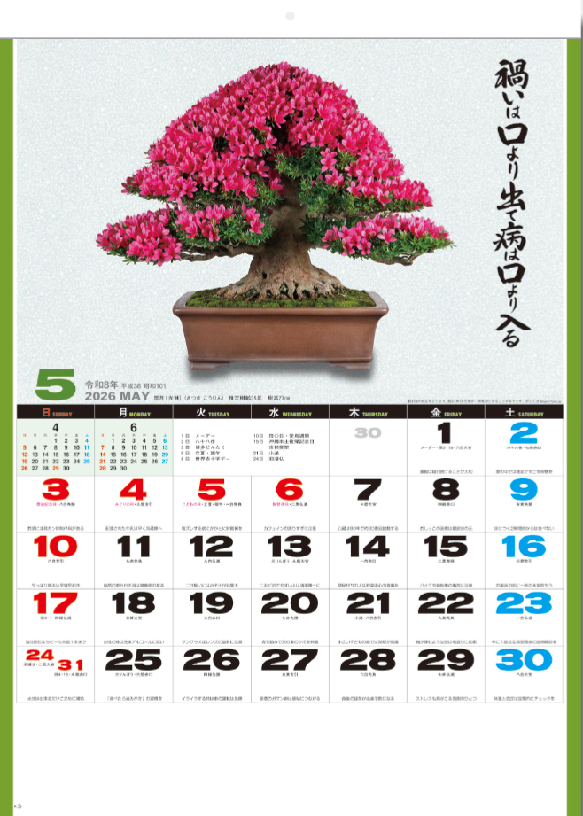 SG-278 自然愛　盆栽