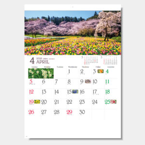 YG-50 四季彩花 1