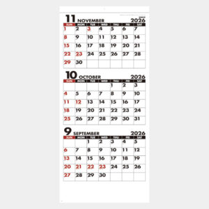 SG-317　シンプルスケジュール（年表付・スリーマンス） 1