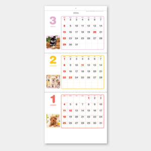 SG-321 ペットアルバム3カ月玉 1