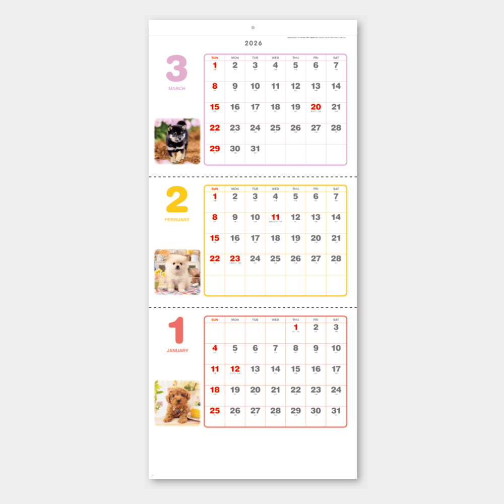 SG-321 ペットアルバム3カ月玉 1