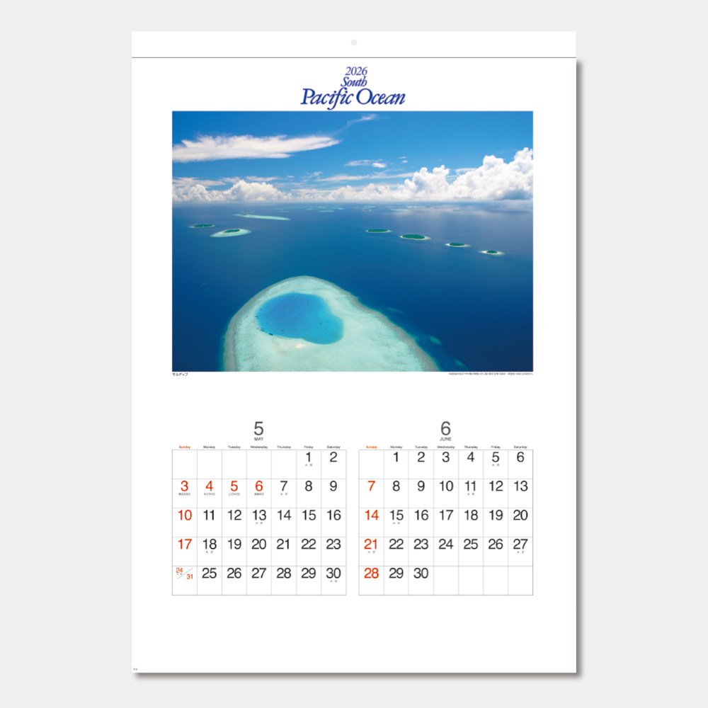 SG-421　パシフィックオーシャン 1