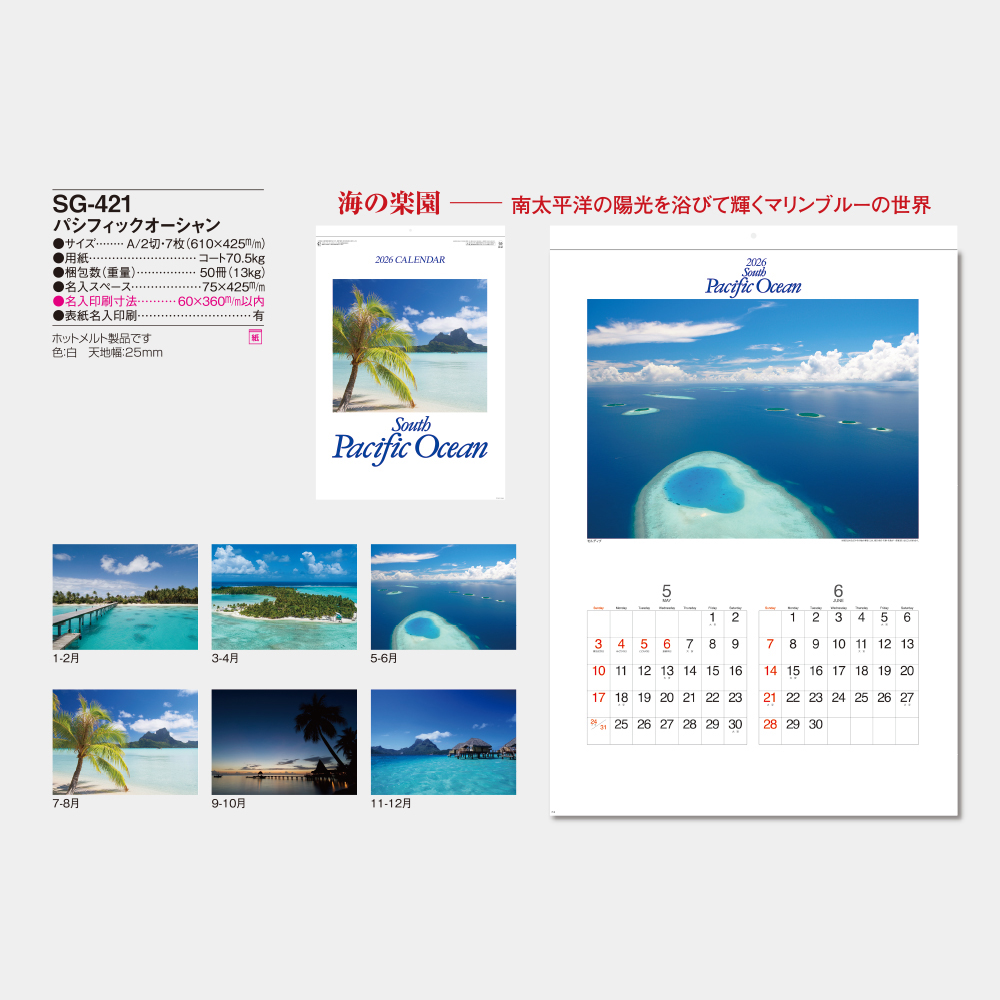 SG-421　パシフィックオーシャン 3