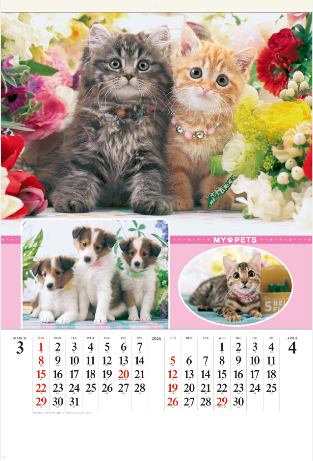 SG-543 フィルム マイペット