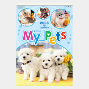 SG-543　フィルム マイペット 2