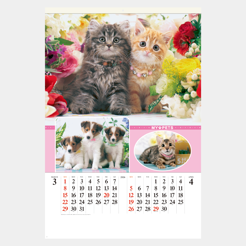 SG-543　フィルム マイペット 1