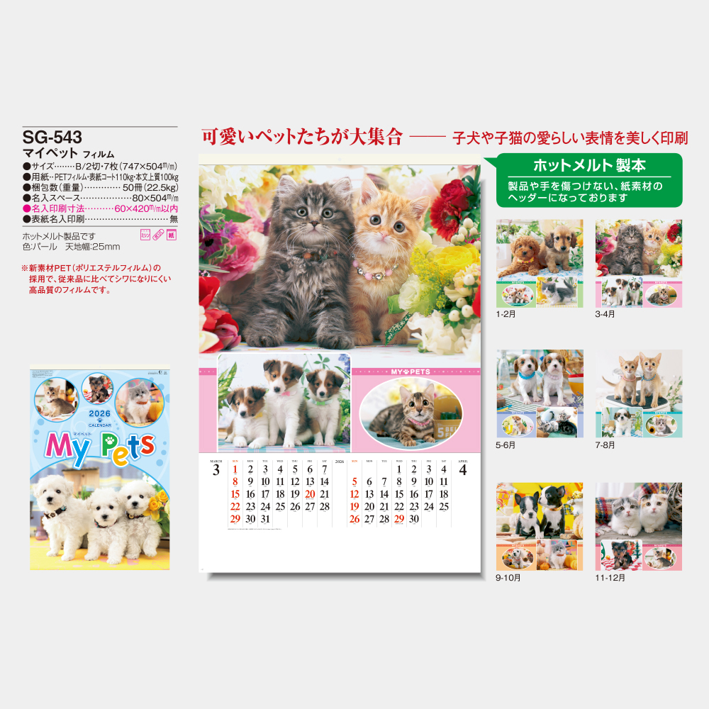 SG-543　フィルム マイペット 3