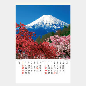 SG-546　富士山　世界文化遺産 1