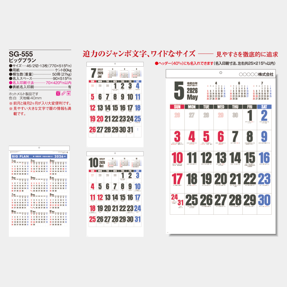 SG-555　ビッグプラン 3