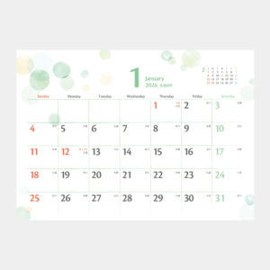 SG-9171　ドロップ 2