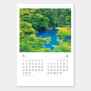 SB-031　美しい緑 1