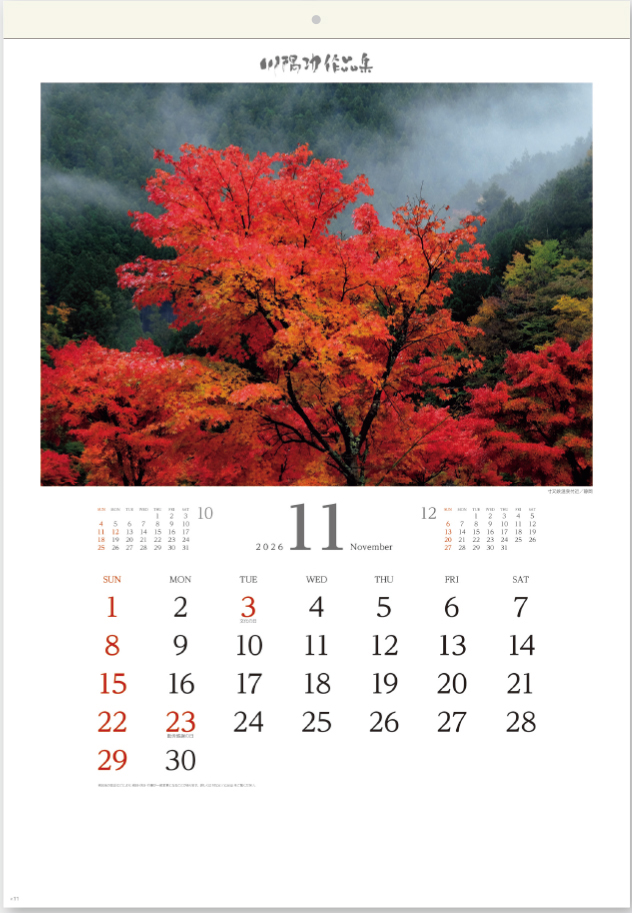 SB-098 川隅功作品集（彩風）