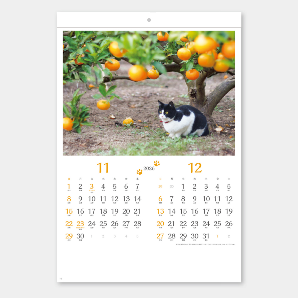 SB-120　猫さんぽ（2カ月玉） 1