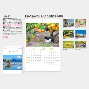 SB-120　猫さんぽ（2カ月玉） 3