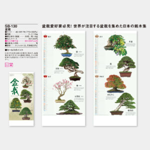 SB-130　盆栽 3