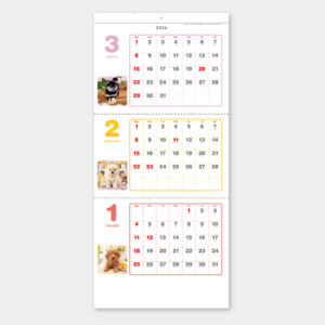 SB-233　ペットアルバム3カ月玉 1