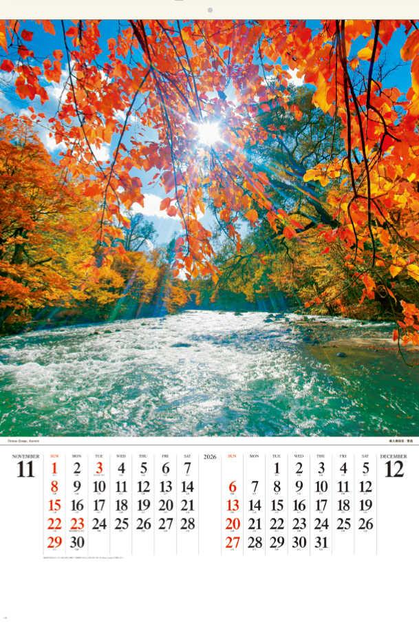 SB-254 フィルム　輝く太陽