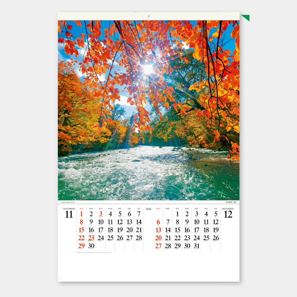 SB-254　フィルム 輝く太陽 1