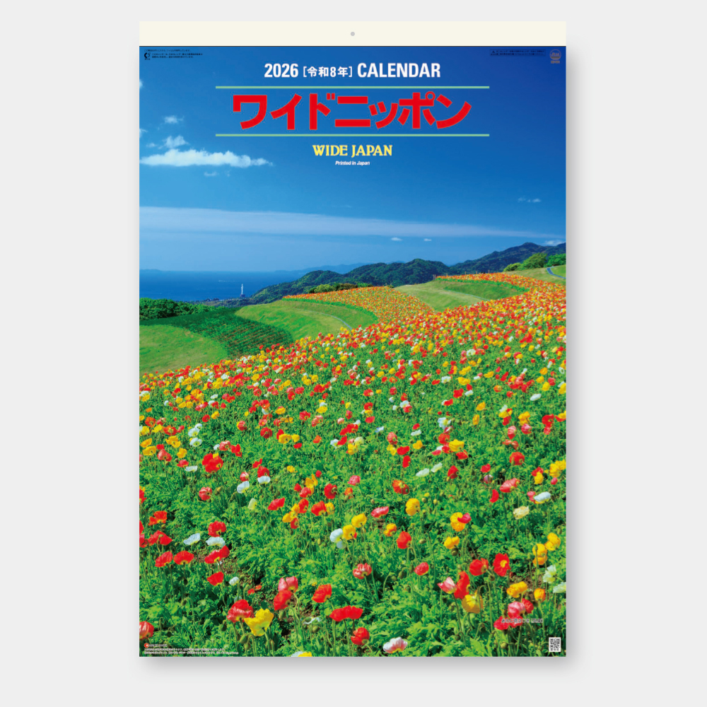 SB-291　ワイドニッポン フィルム 2