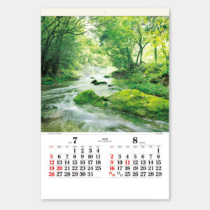 SB-292　四季光耀 フィルム 1