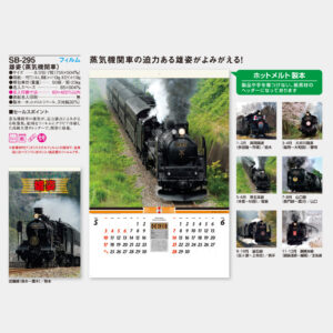 SB-295　雄姿（蒸気機関車） フィルム 3