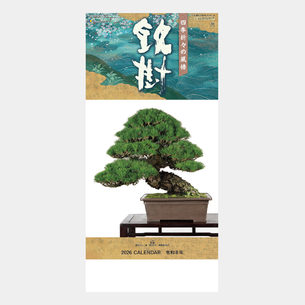 SD-22 銘樹(盆栽) 2