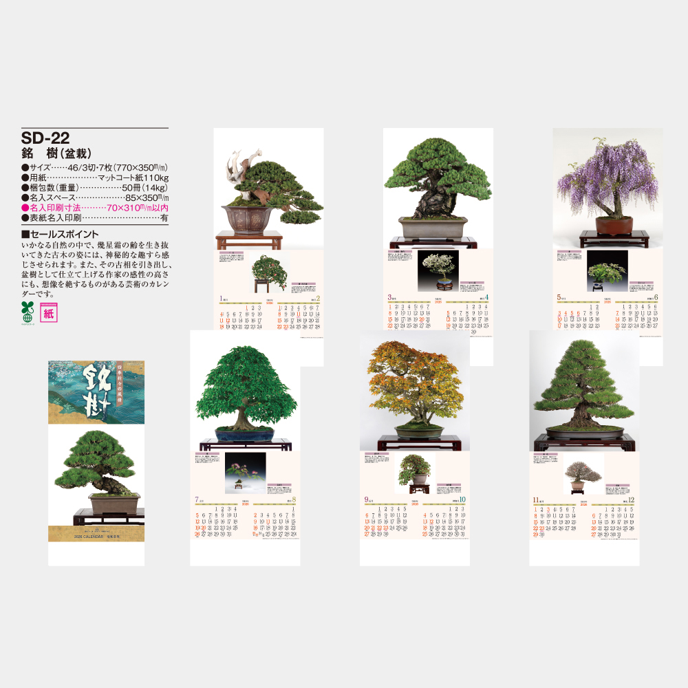 SD-22 銘樹(盆栽) 3