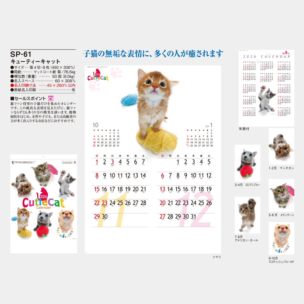 SP-61　キューティーキャット 1
