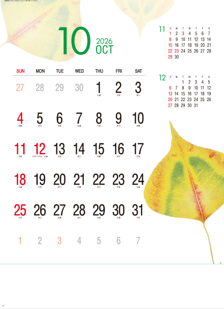 SP-64 エコ・フィールド