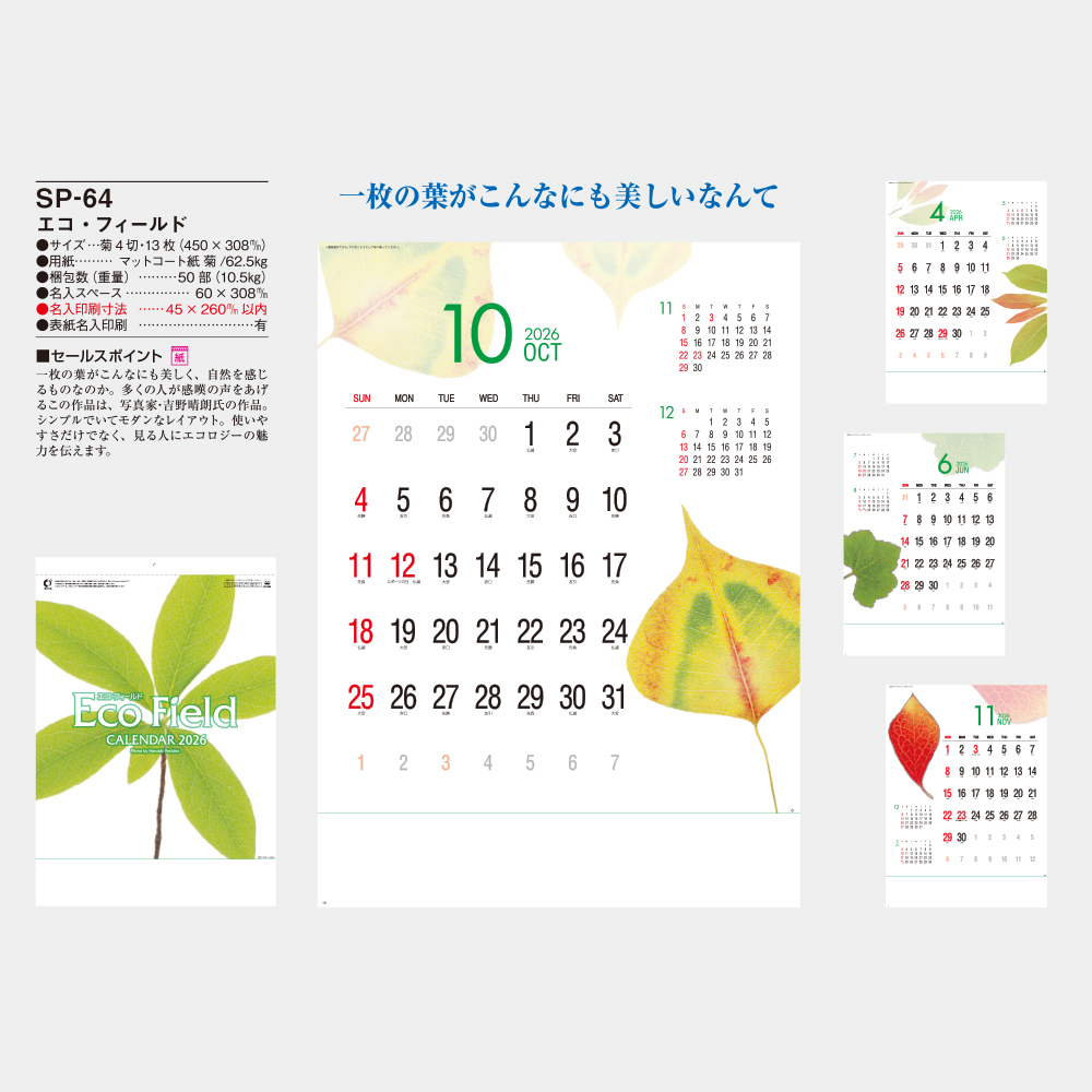 SP-64　エコ・フィールド 1