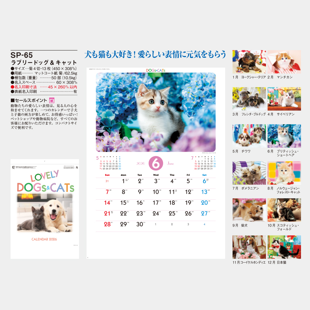 SP-65 ラブリードッグ&キャット 1